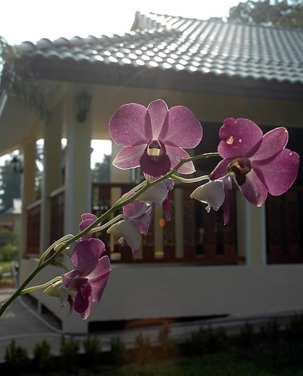 Apple Bungalows Bang Saphan Eksteriør bilde